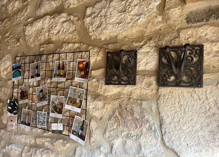 Les Noyers De Gaudelle Saint-Sozy